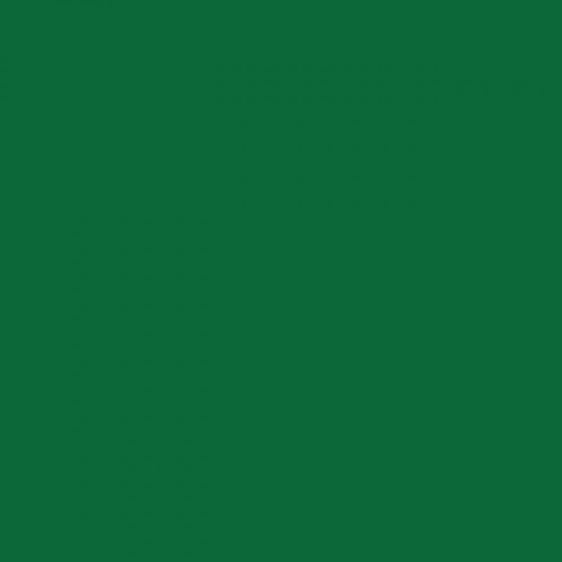 Chemica - Rouleau de Thermocollant de Hotmark Revolution - Vert Clair (Light Green) - 30 cm x 5 m