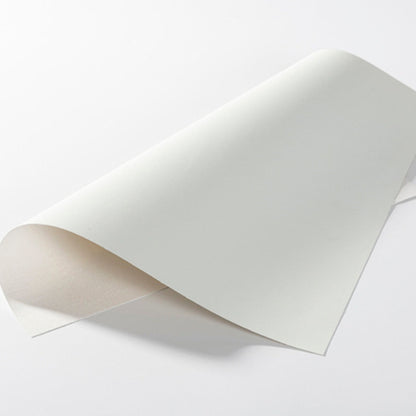 Craft Express - Sublimation - Carré de Cuir synthétique - 30,5 x 30,5 cm - Blanc
