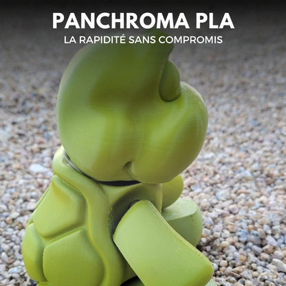 Panchroma Basic PLA - Vert Olive (Olive Green) - 1,75 mm - 1 kg
