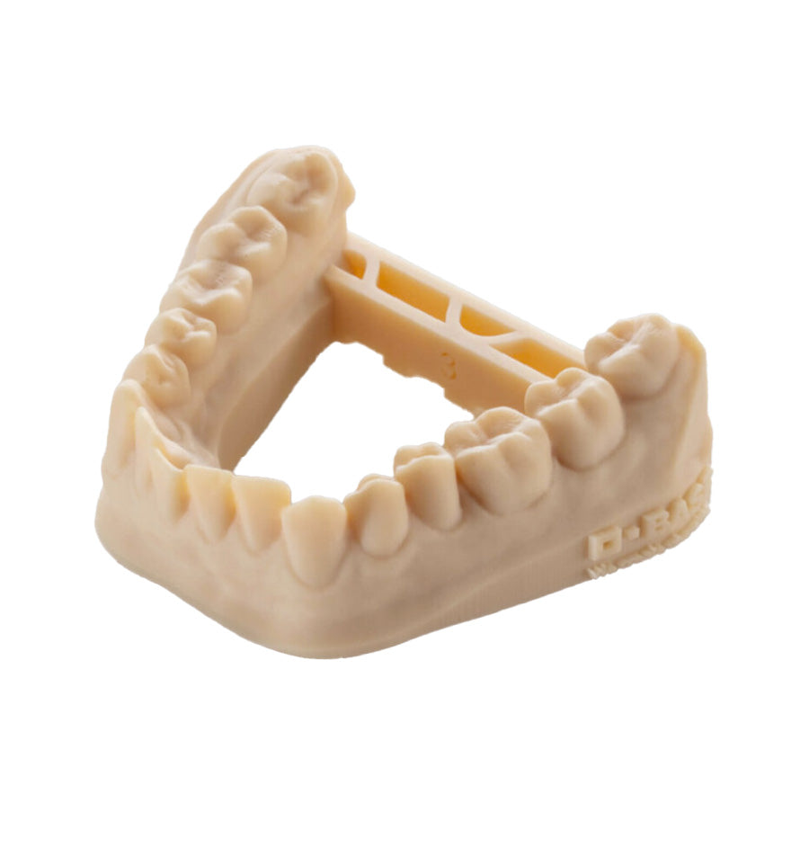 BASF Ultracur3D DM 2505 Dental Model