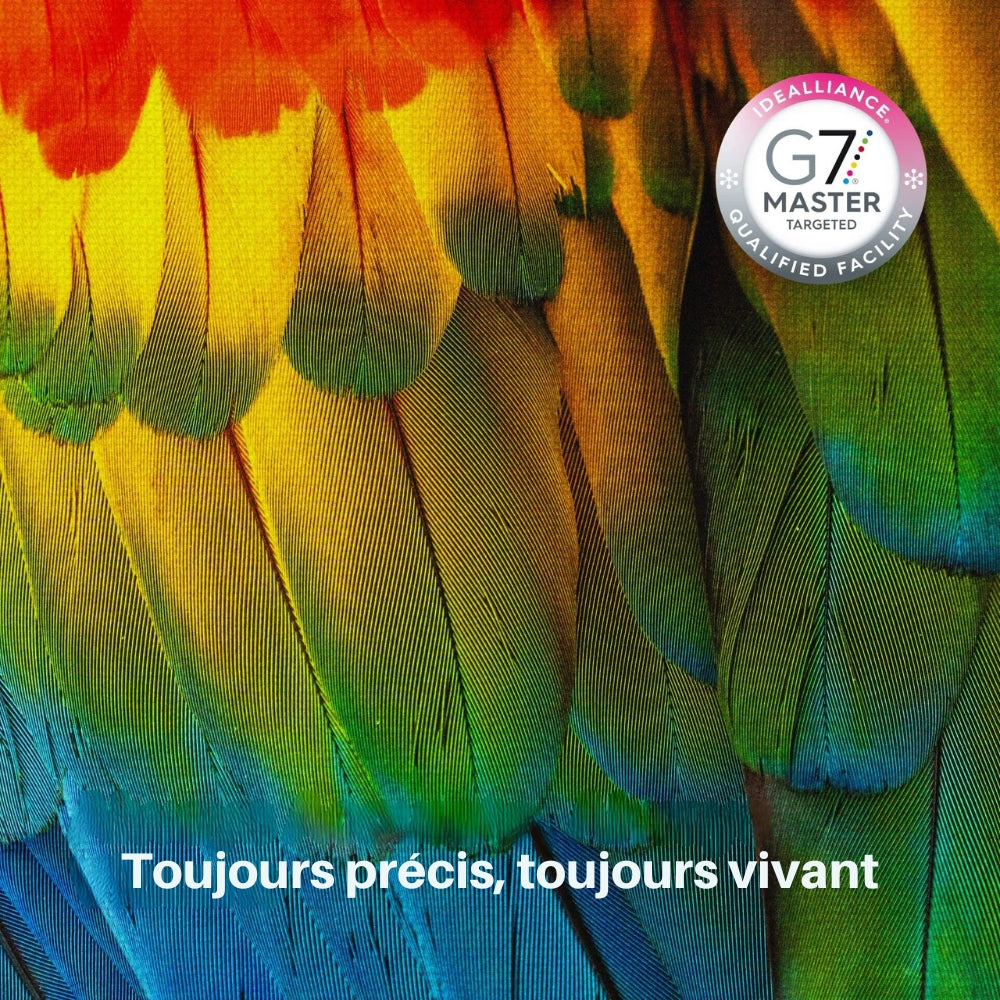 Pack 5 Couleurs xTool - Encres DTF pour Apparel Printer